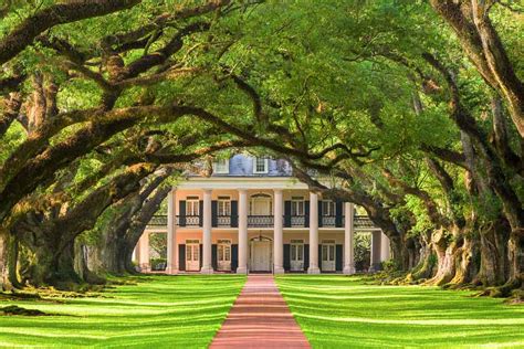 Louisiana's coolest and kookiest plantations - International Traveller