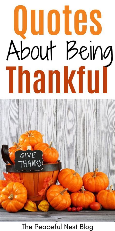 Quotes About Being Thankful And Thanksgiving in 2024 | Thankful quotes ...