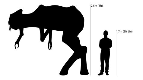 Size comparison between an Alpha-Common and a human : worldbuilding