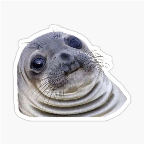 Seal Stickers | Redbubble