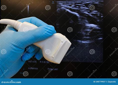 Modern Linear Ultrasound Diagnostic Probe Held in Doctor Hand in Blue Glove, B-mode Structure of ...