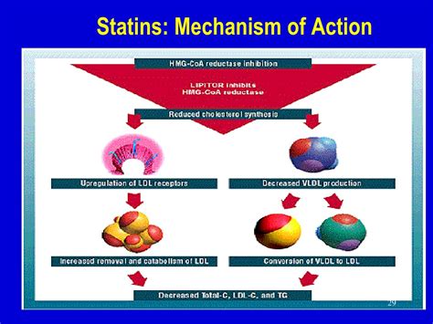 Mechanisms Of Action