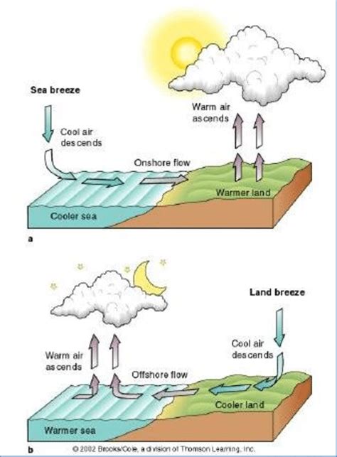 The circulations of land and sea breeze | Download Scientific Diagram