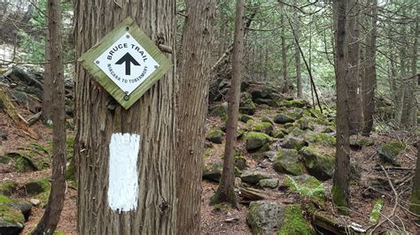 Long stretches of Bruce Trail on Bruce Peninsula remain closed | Owen ...