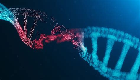Exploring The Link Between Genetic Disorders and Cancer | Cancer Info Net
