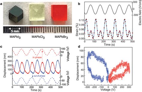 Three aspects of induced piezoelectricity. a) Examples of MAPbX3 ...