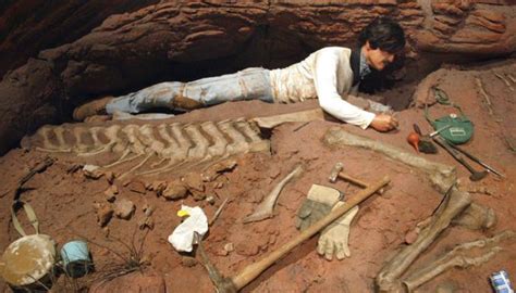 Archaeologists from Germany and Mexico discovered a dinosaur cemetery in Coahuila | PanamericanWorld