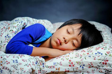 Sleep And The Developing Brain | tunersread.com