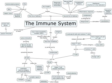 immune system