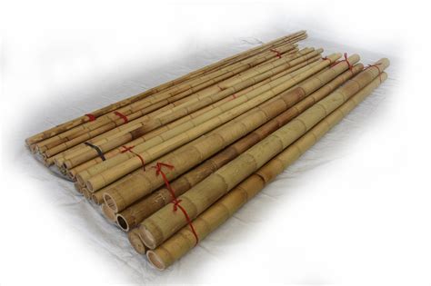 Moso Bamboo Pole 1.5"D x 10'L - Bamboo Toronto Store