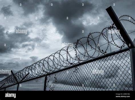 Prison security fence. Barbed wire security fence. Razor wire jail fence. Barrier border ...