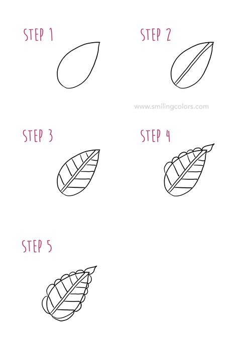 10 Leaf Drawing Step by Step Tutorials - Smiling Colors