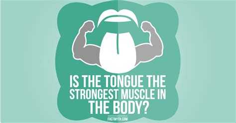 The Tongue Is The Strongest Muscle In The Human Body - Fact or Myth?