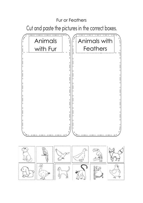 Fur or Feather worksheet | States of matter worksheet, Preschool art activities, Matter worksheets