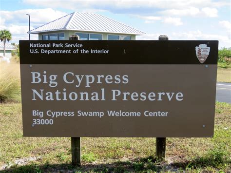 Hiking The Big Cypress Swamp - AUGIE'S ADVENTURESAUGIE'S ADVENTURES