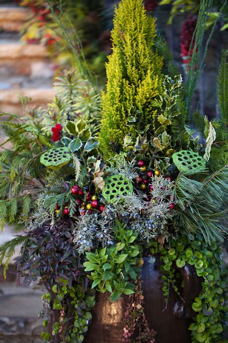 Tips for Winter Pots — Enchanted Gardens