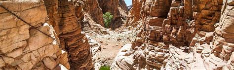 Olive Trail - 10 km long hiking trail in the mountains of the Naukluft