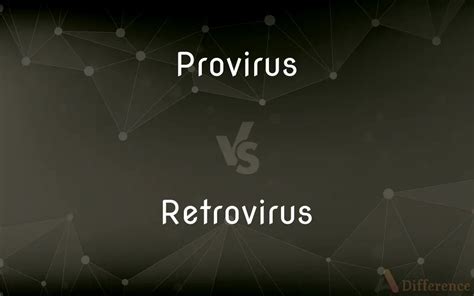 Provirus vs. Retrovirus — What’s the Difference?