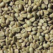 Coffee Bean - DMCCORP