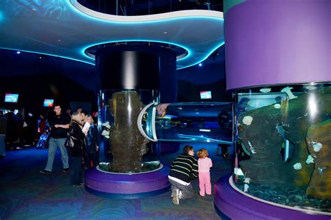 Aquarium Design Services | Serviette Aquarium Consultants