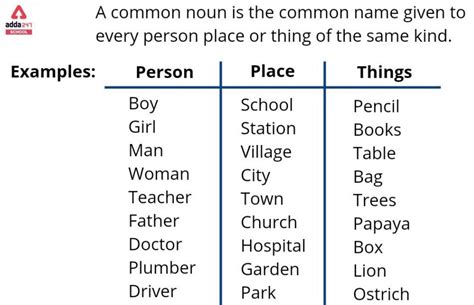 Essential Everyday: The Power of Common Noun Usage in 2024