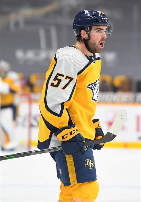 Few Untouchables On Nashville Predators Roster