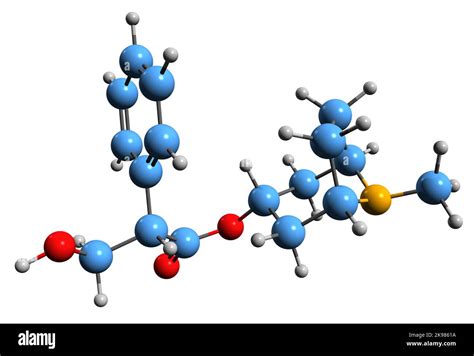 3D image of Atropine skeletal formula - molecular chemical structure of tropane alkaloid ...