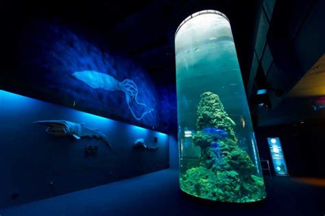 Genoa: Aquarium of Genoa Entry Ticket with Snack | GetYourGuide