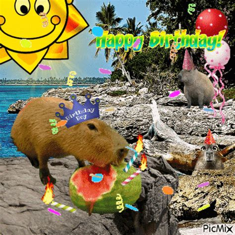 Happy Birthday Capybara GIF - Happy birthday Capybara - Discover ...