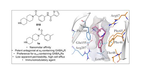 Structure–Activity Studies of 3,9-Diazaspiro[5.5]undecane-Based γ-Aminobutyric Acid Type A ...