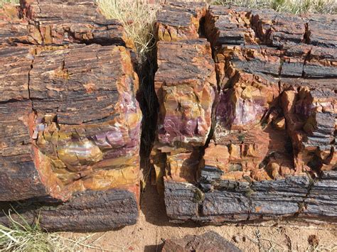 Visiting Petrified Forest National Park - Restless Curiosity