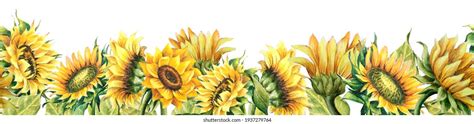 22,765 Sunflower banner Images, Stock Photos & Vectors | Shutterstock