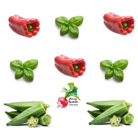 Companion Planting guide - capsicum basil okra Companion Planting Guide, Spirng, Growing ...