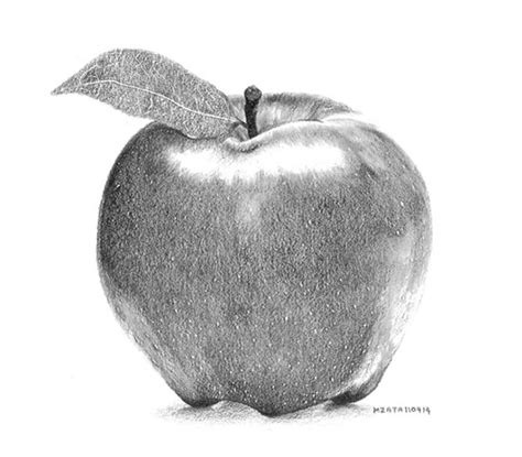 Apple Pencil Drawing Random Lines : Apple Drawing Pencil Colour Colored ...