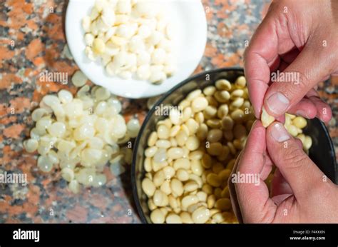 Closeup peeling, before and after bowls with lupini beans superfood, part of legum family ...