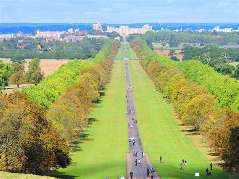 Windsor Great Park - All You Need to Know BEFORE You Go - Updated 2020 (England) - Tripadvisor