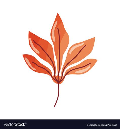 Brown leaf foliage autumn on white background Vector Image