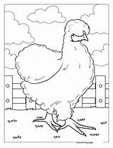 Chicken Coloring Pages30  Free Printable coloring Pages Cute sketch template