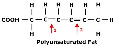 Fat Structure