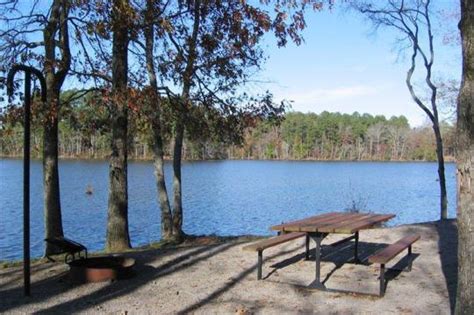 Campground Details - Hamburg State Park, GA - Georgia State Parks ...