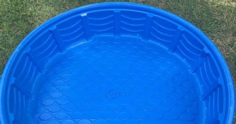 Plastic Wading Pool Only $6.99 at Ace Hardware (Great for Kids & Pets!)