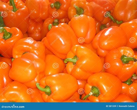 Hot stuff stock image. Image of vegetables, display, green - 581339