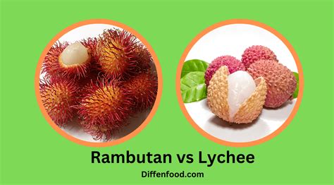 Rambutan vs Lychee: What’s the Difference? - Diffen Food