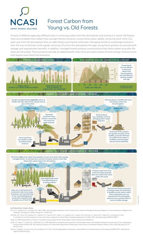 Forest Carbon from Young vs. Old Forests | NCASI