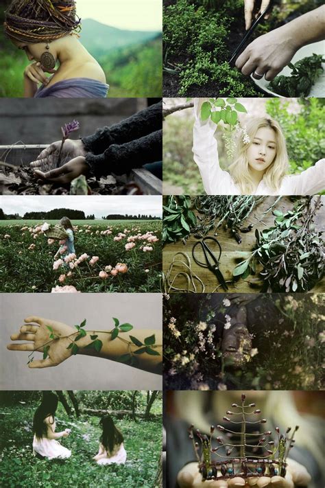 garden witch aesthetic (more here) Wiccan, Magick, Witchcraft, Story ...