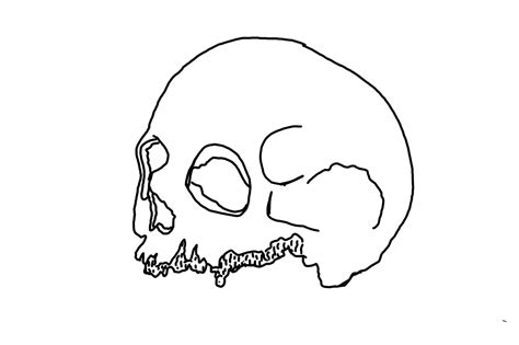 Human Skull Line Art With Transparent Background 24034972 PNG