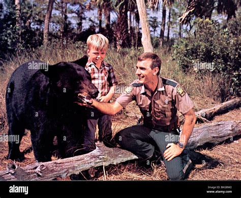 GENTLE BEN (TV) CLINT HOWARD, DENNIS WEAVER GENB 002 CP Stock Photo - Alamy