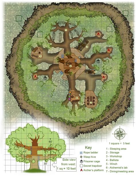 Dungeon maps, Tabletop rpg maps, D d maps