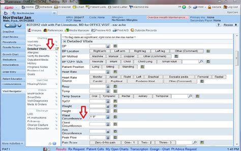 Hospital Charting Systems | amulette