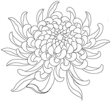 Vẽ hoa cúc trắng: Tuyệt phẩm sáng tạo bằng chính đôi tay của bạn [Hấp dẫn CTR]